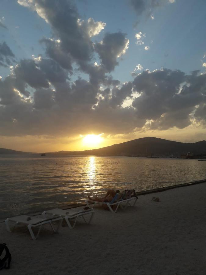 Ivan * Trogir